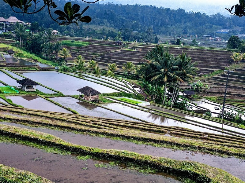 Ubud Retreat
